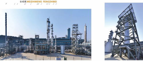 中國(guó)化工報(bào)聚焦四川美豐，一項(xiàng)關(guān)鍵工藝通過(guò)科技成果鑒定